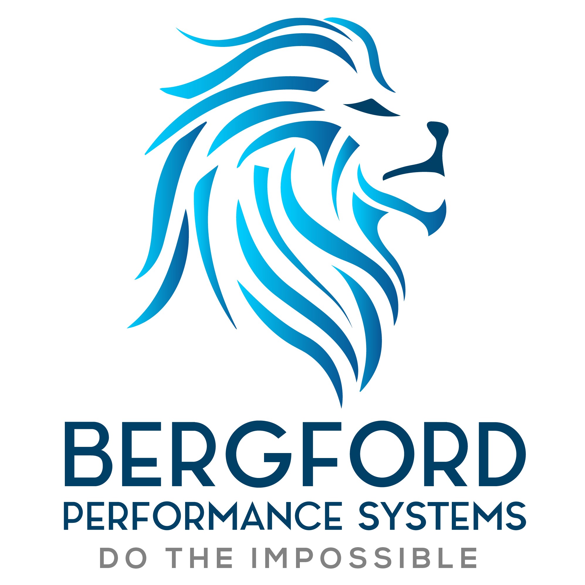 Bergford Performance Systems