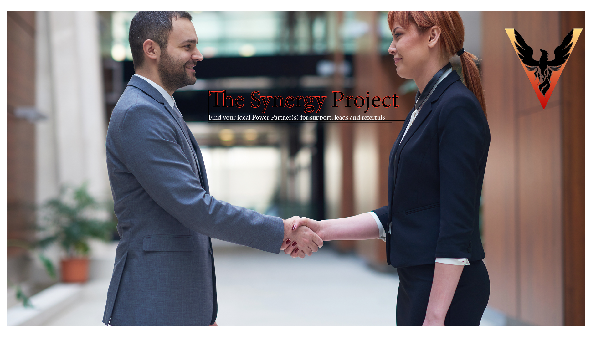 The Synergy Project Means More Referrals, More Leads, Less Hassle